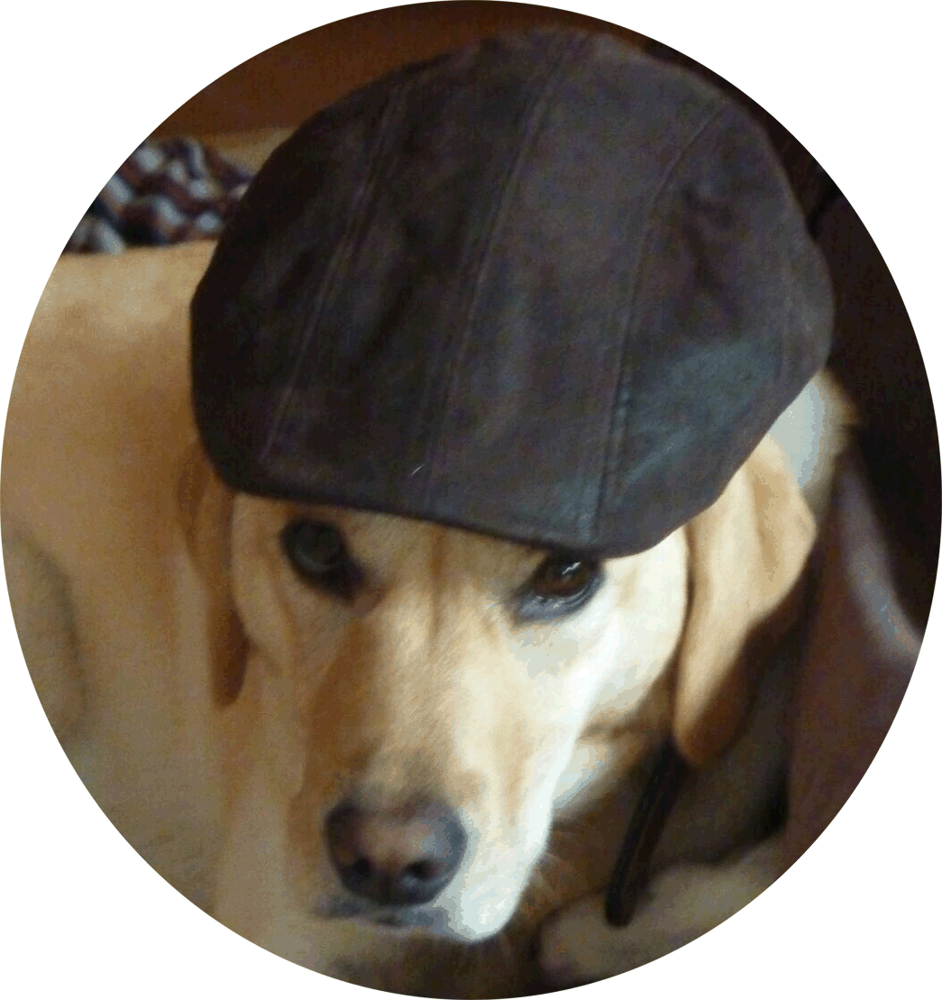 Schulhund "Birka"